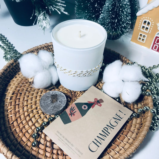 Bougie avec graines - L'écrin